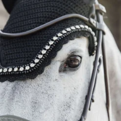 Kentucky Oornetje Wellington Big Stone & Pearl Soundless Zwart