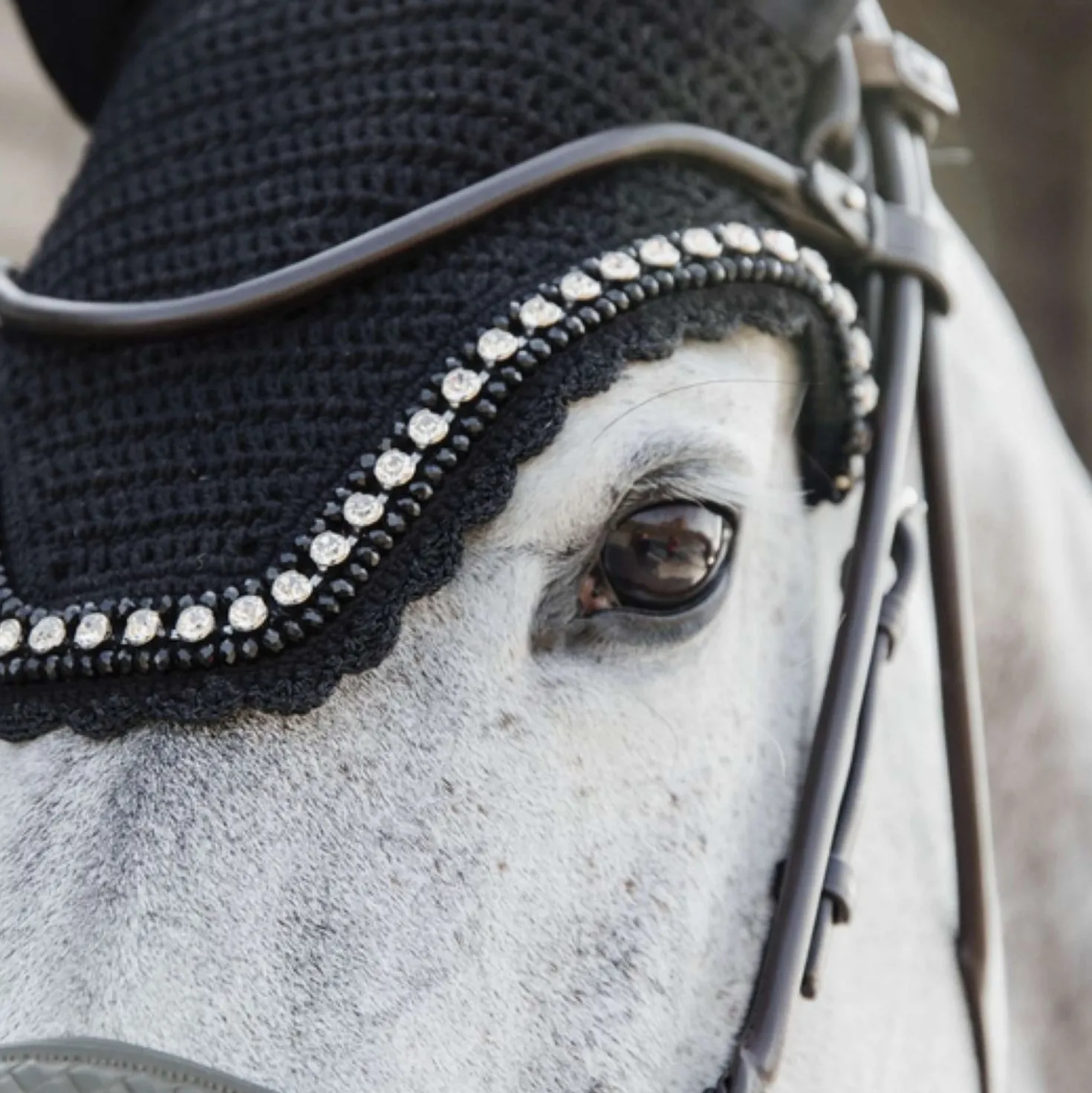 Kentucky Oornetje Wellington Big Stone & Pearl Soundless Zwart