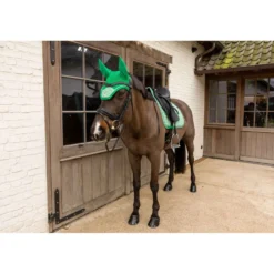 Kentucky Oornetje Wellington Velvet Pied De Poule Licht Groen