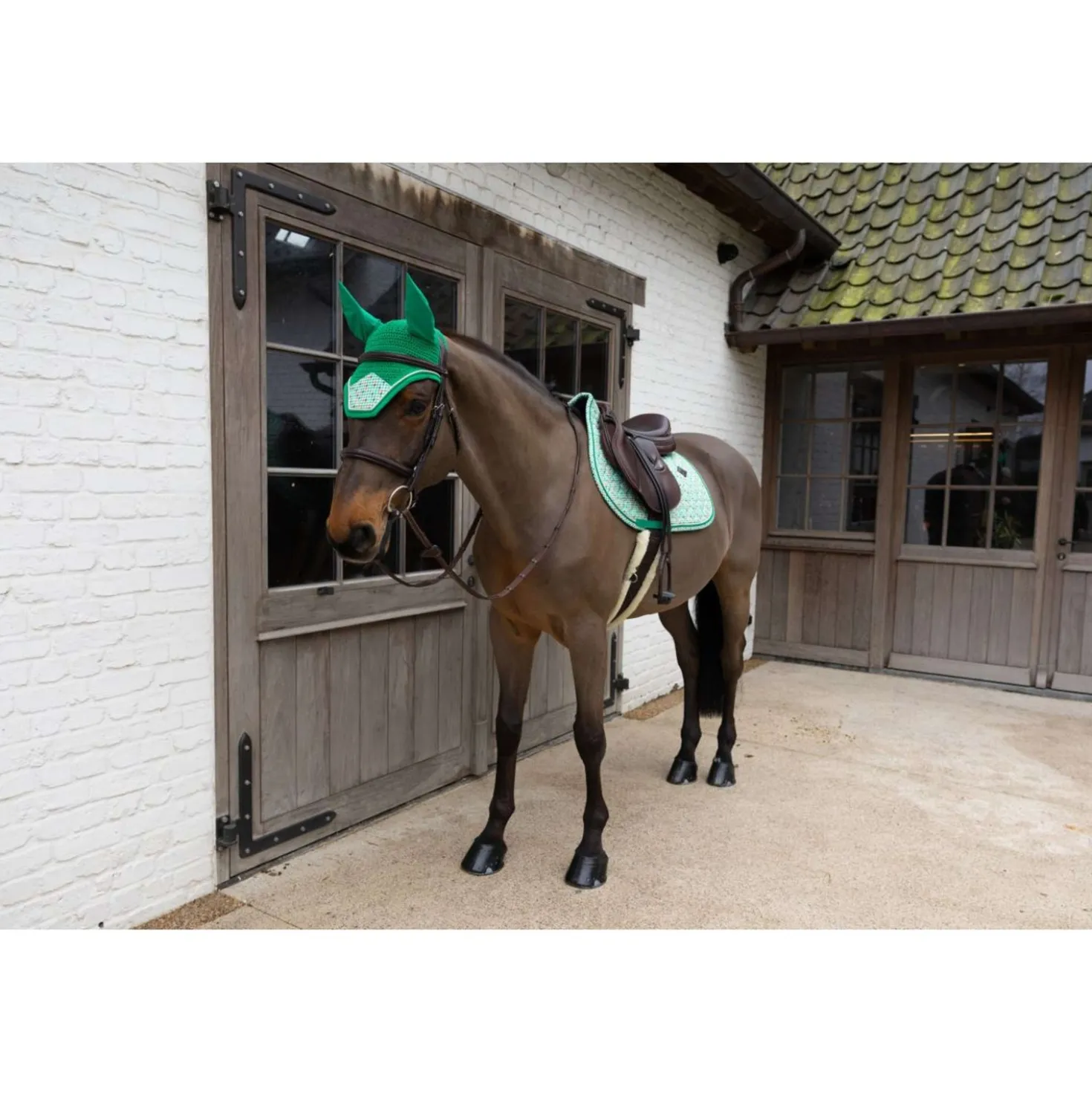 Kentucky Oornetje Wellington Velvet Pied De Poule Licht Groen