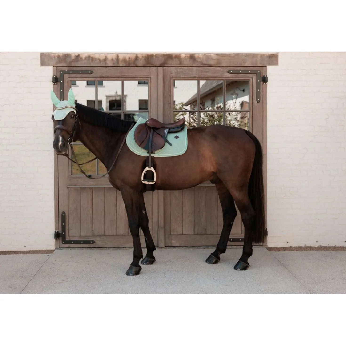 Kentucky Oornetje Wellington Velvet Mint