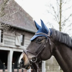 Kentucky Oornetje Wellington Basic Velvet Navy