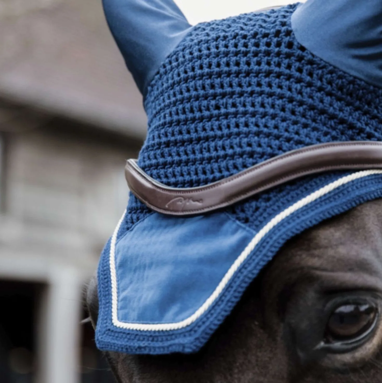 Kentucky Oornetje Wellington Basic Velvet Navy
