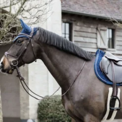 Kentucky Oornetje Wellington Basic Velvet Navy