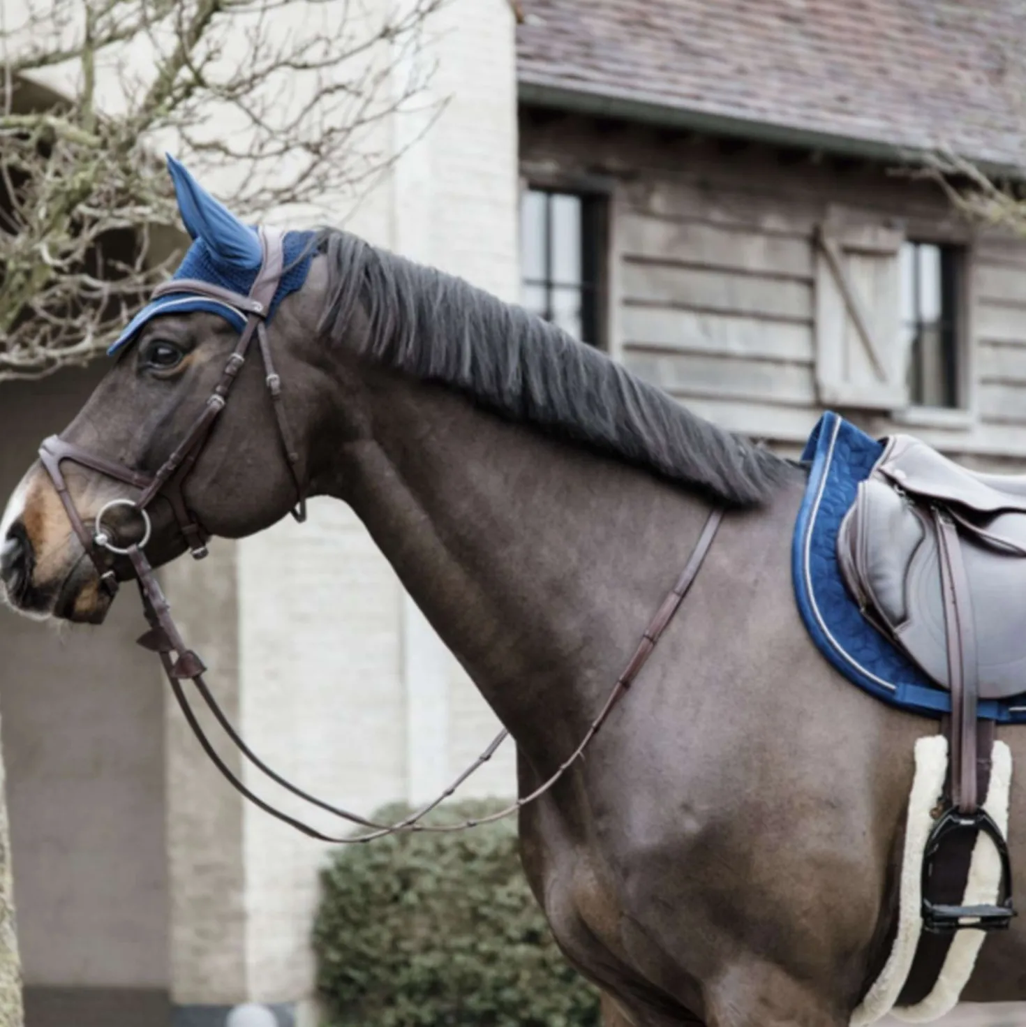 Kentucky Oornetje Wellington Basic Velvet Navy