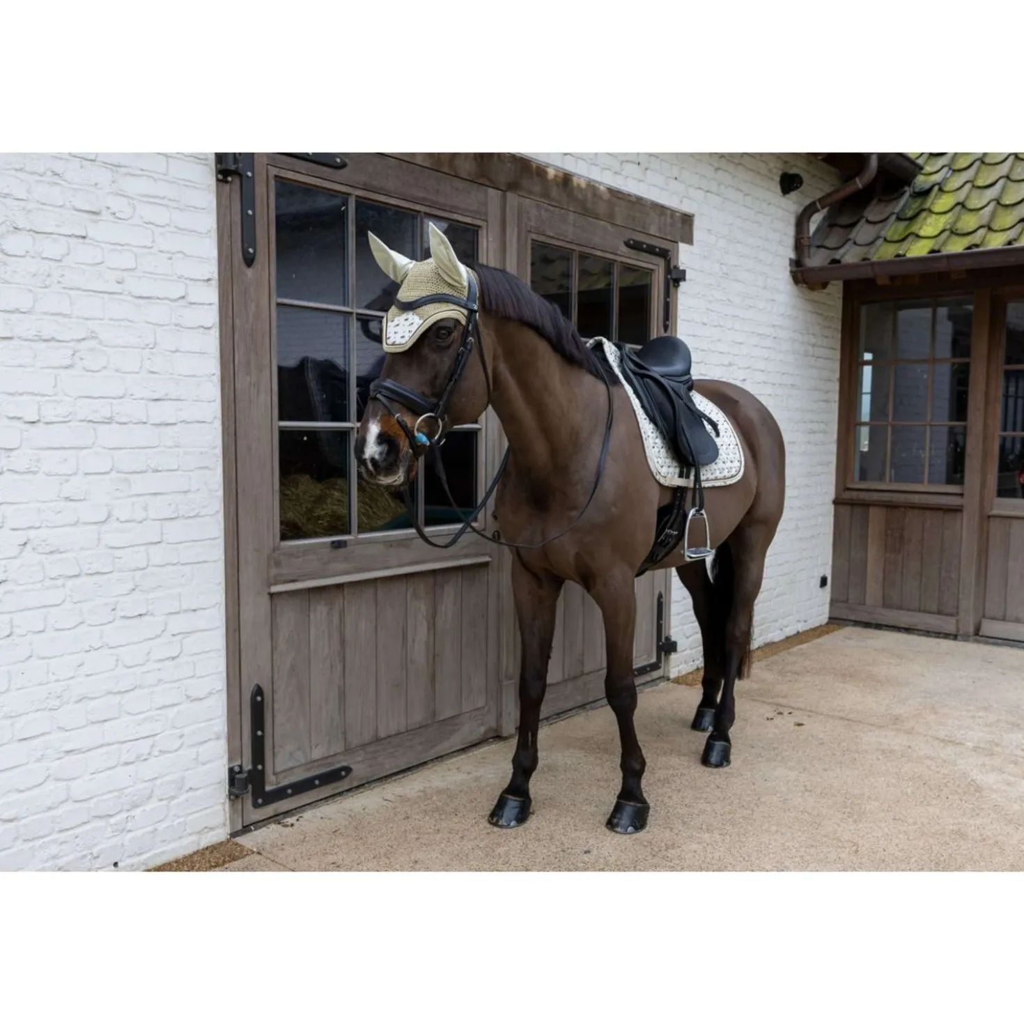 Kentucky Oornetje Wellington Velvet Horse Printing Beige