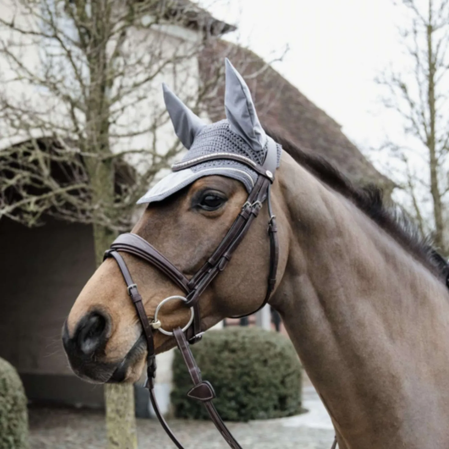 Kentucky Oornetje Wellington Basic Velvet Grijs