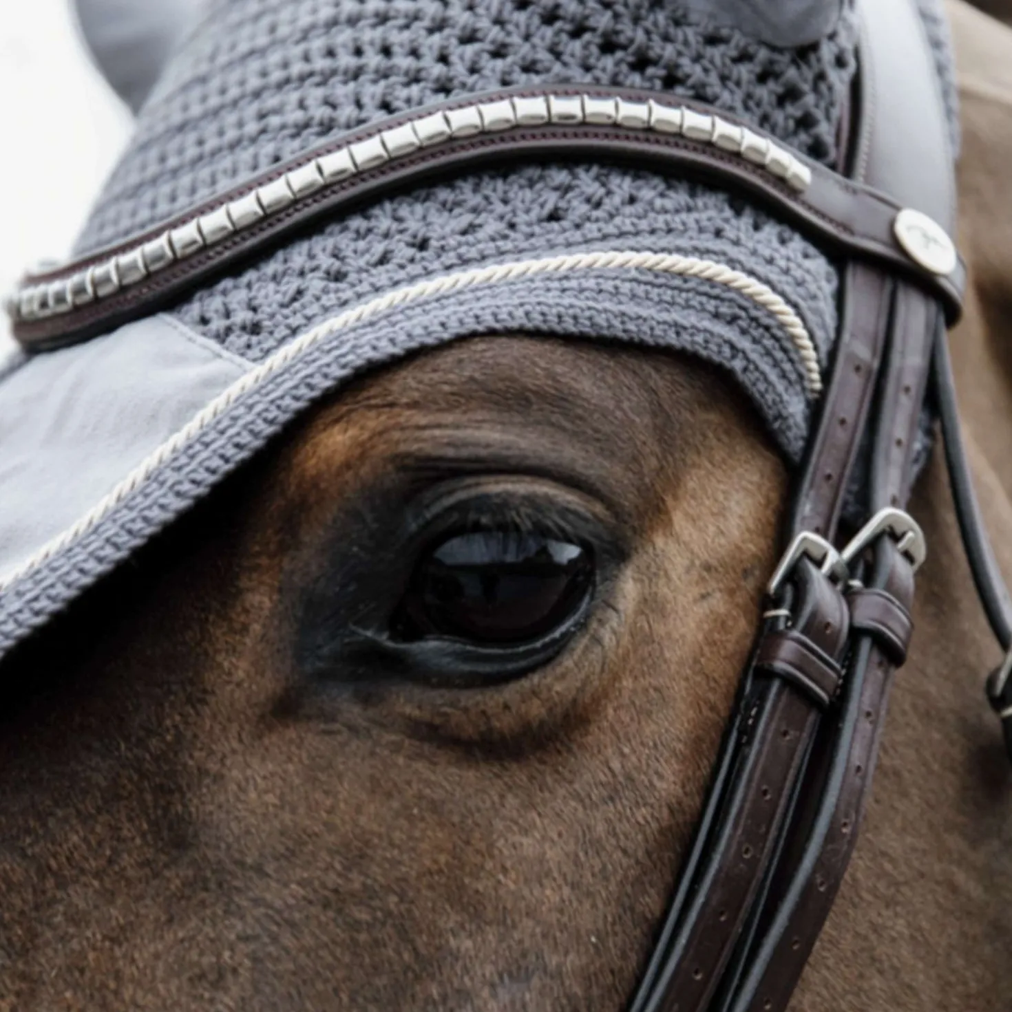 Kentucky Oornetje Wellington Basic Velvet Grijs