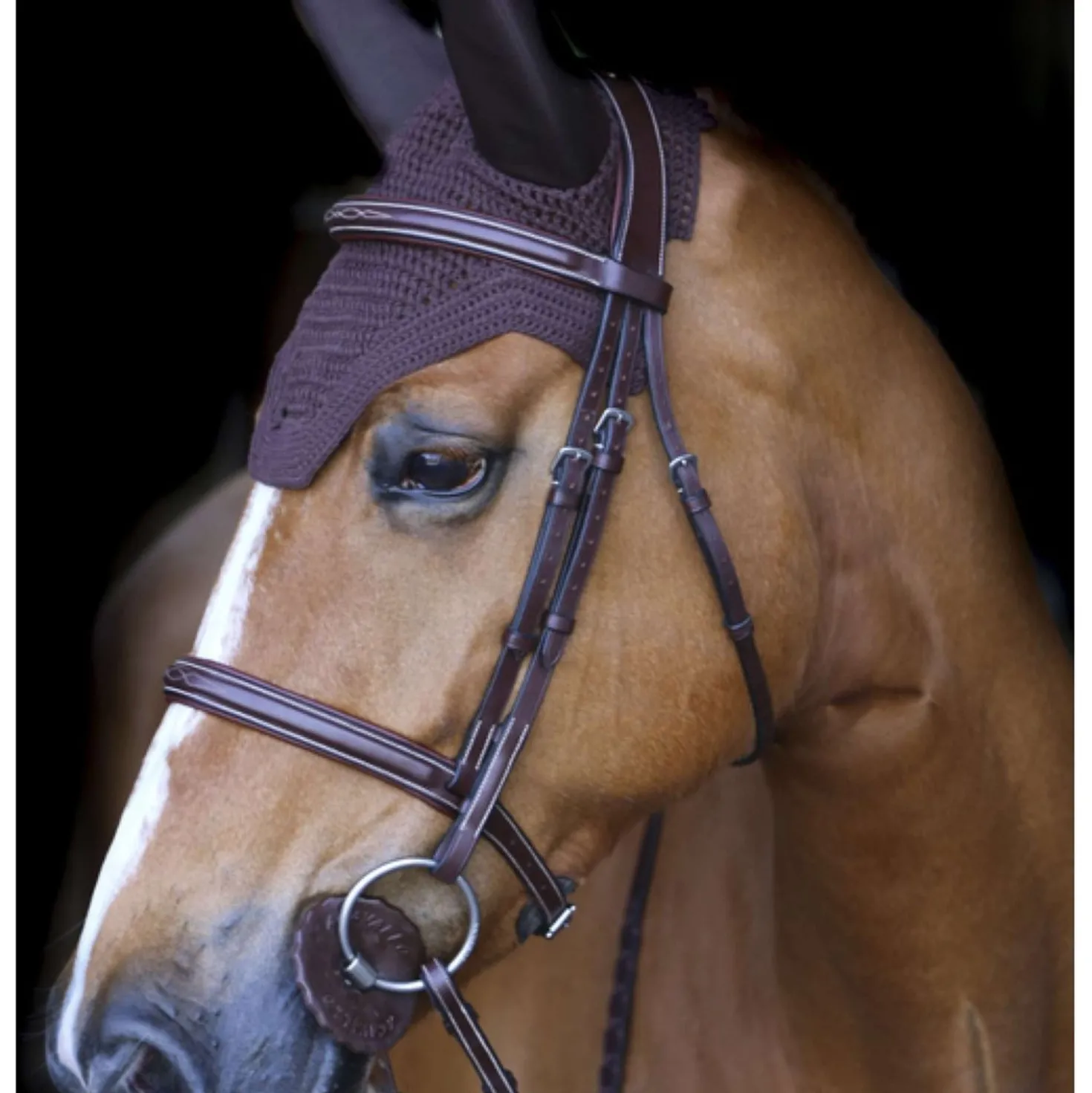 Kentucky Oornetje Wellington Soundless Bruin