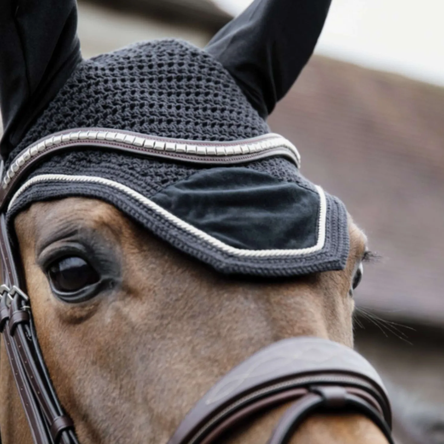 Kentucky Oornetje Wellington Basic Velvet Zwart