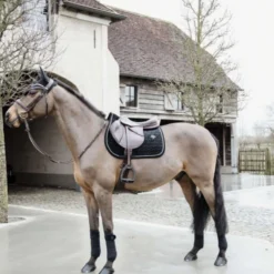 Kentucky Oornetje Wellington Basic Velvet Zwart