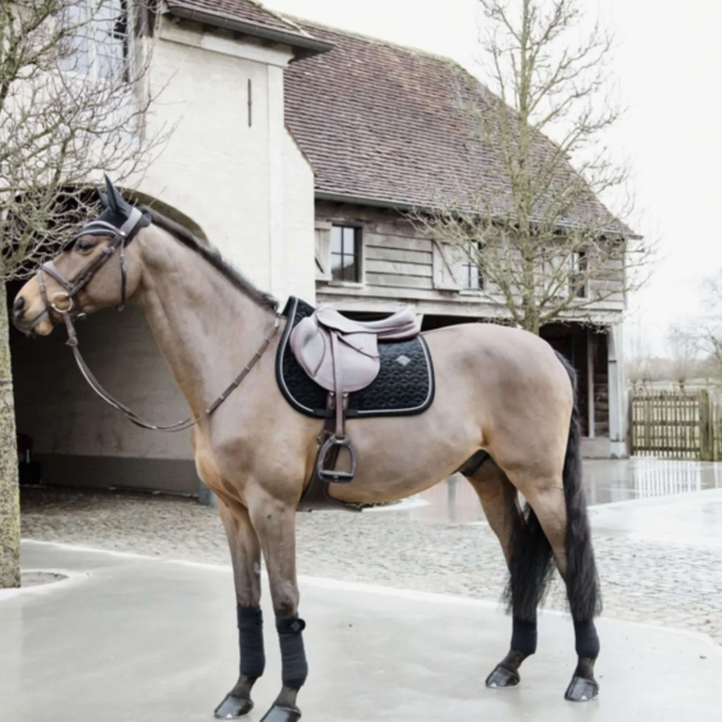 Kentucky Oornetje Wellington Basic Velvet Zwart