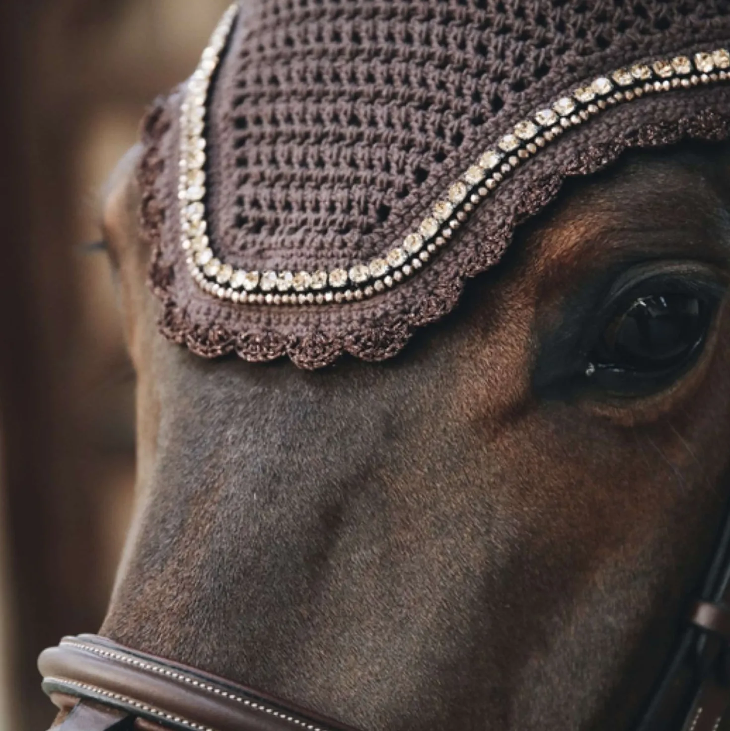 Kentucky Oornetje Wellington Stone & Pearl Soundless Brown