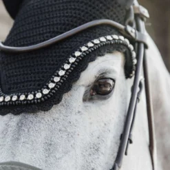 Kentucky Oornetje Wellington Big Stone & Pearl Zwart