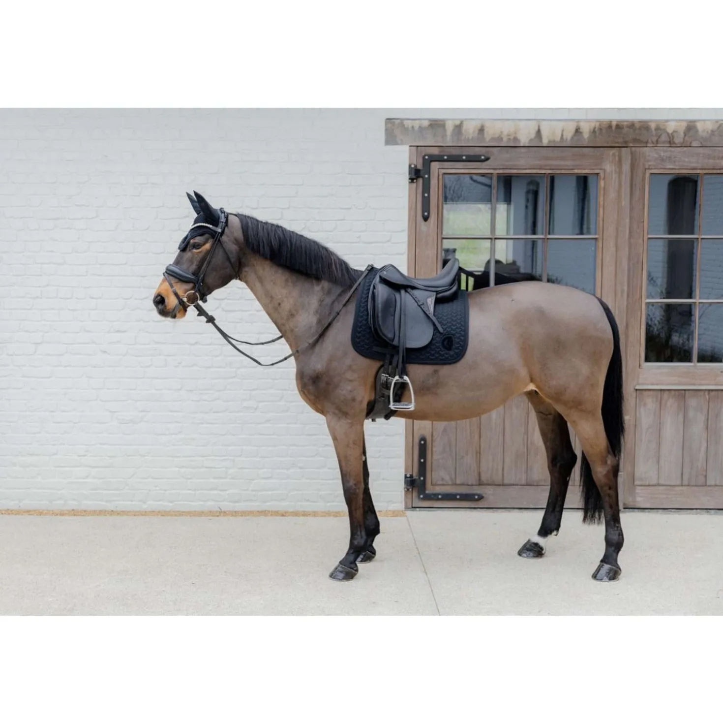 Kentucky Oornetje Wellington 3D Logo Zwart