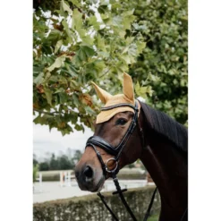 Kentucky Oornetje Wellington Velvet Mosterd