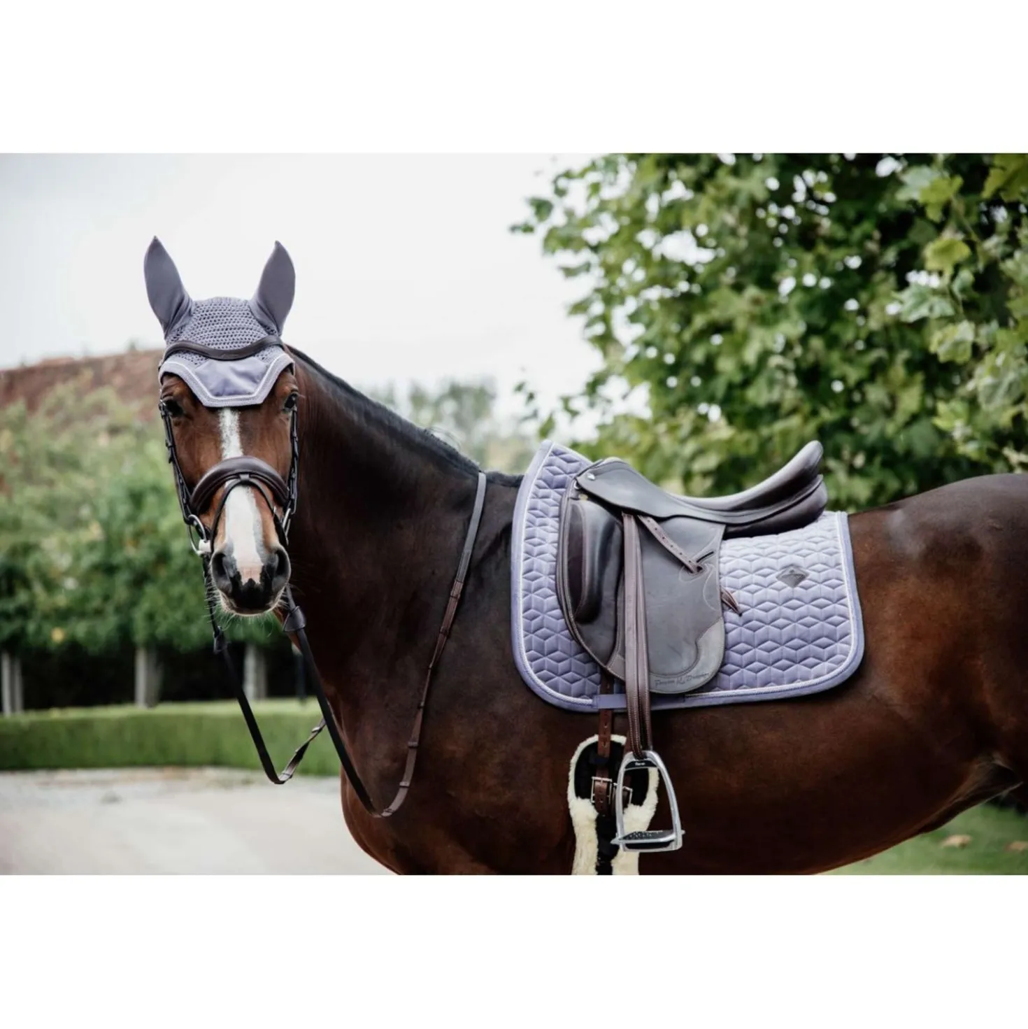 Kentucky Oornetje Wellington Velvet Paars
