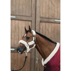 Kentucky Showdeken 160g Bordeaux