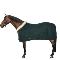 Kentucky Showdeken 160g Donkergroen