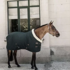 Kentucky Showdeken 160g Donkergroen