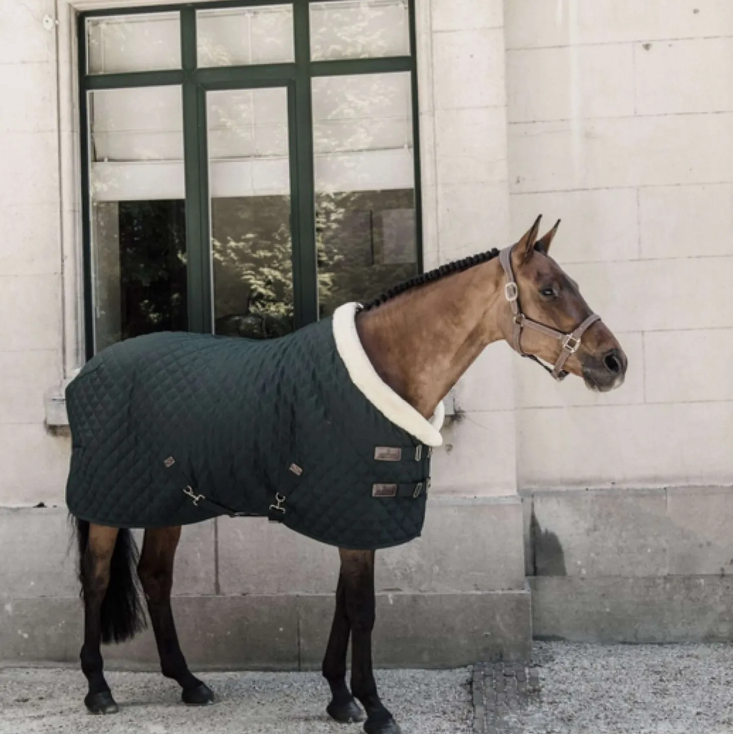 Kentucky Showdeken 160g Donkergroen