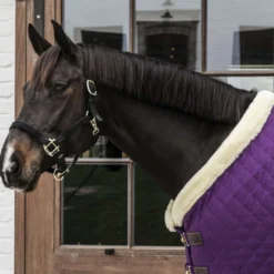 Kentucky Showdeken 160g Paars