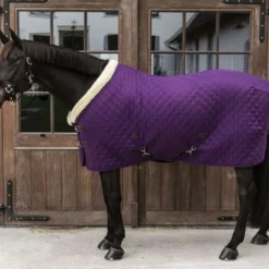 Kentucky Showdeken 160g Paars