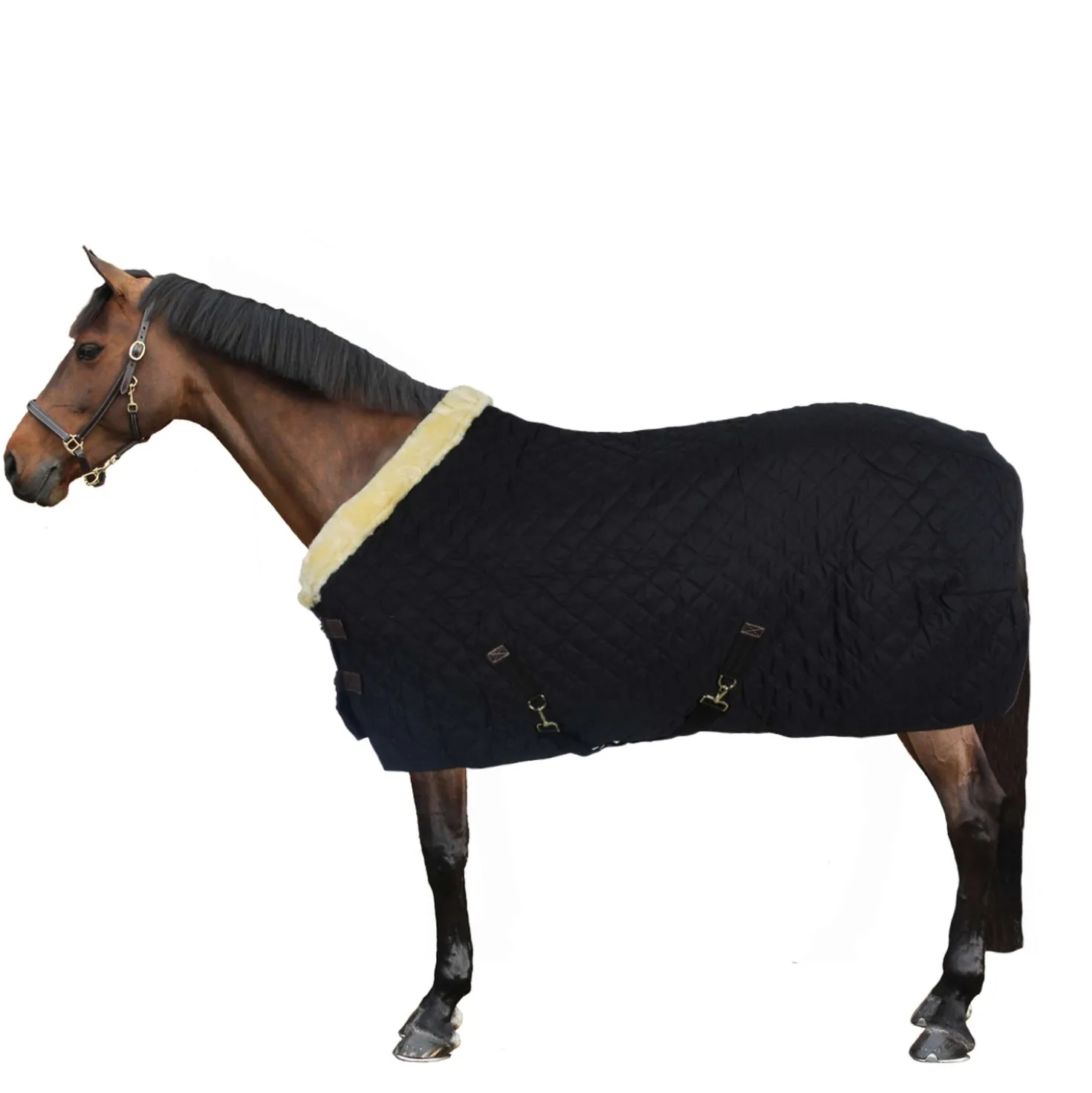 Kentucky Showdeken 160g Zwart/Natural