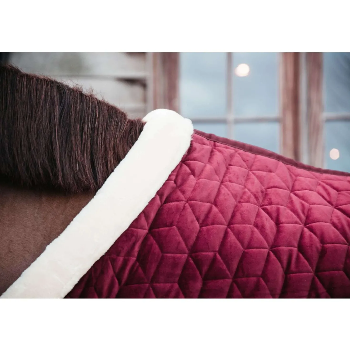 Kentucky Showdeken Velvet 160g Bordeaux