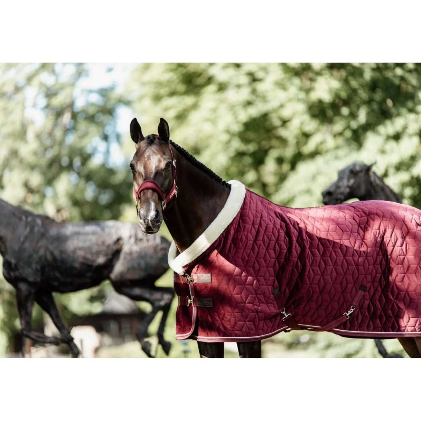 Kentucky Showdeken Velvet 160g Bordeaux