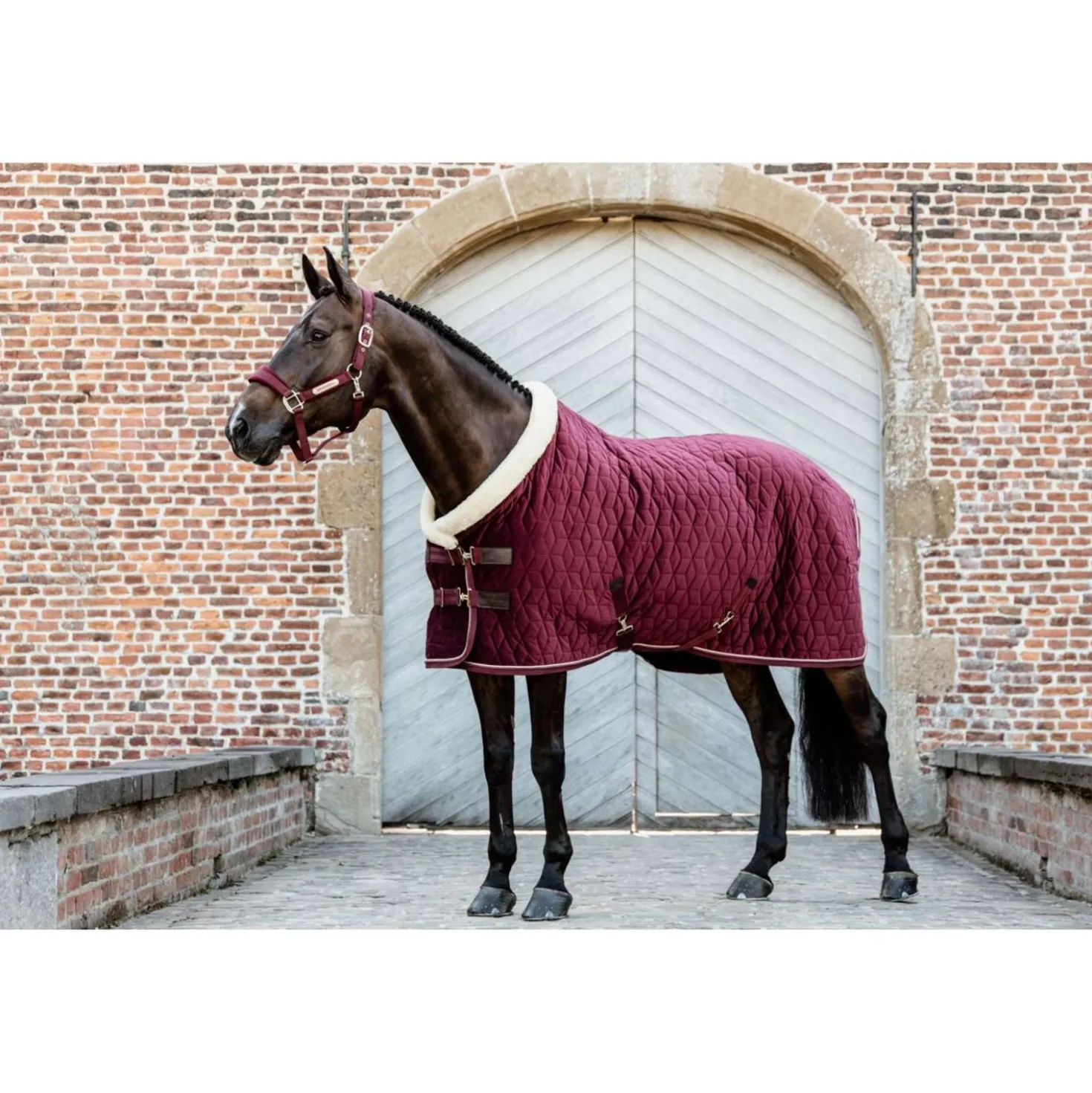 Kentucky Showdeken Velvet 160g Bordeaux