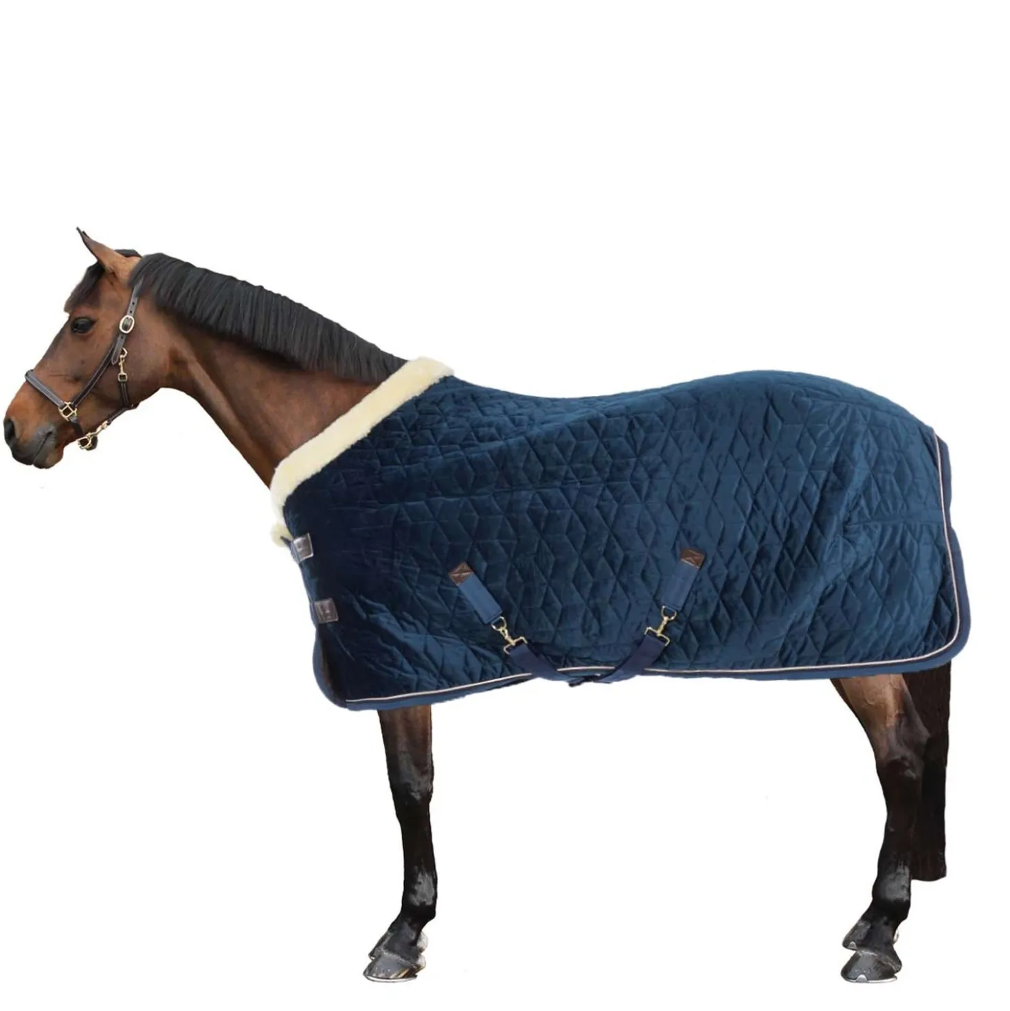 Kentucky Showdeken Velvet 160g Navy