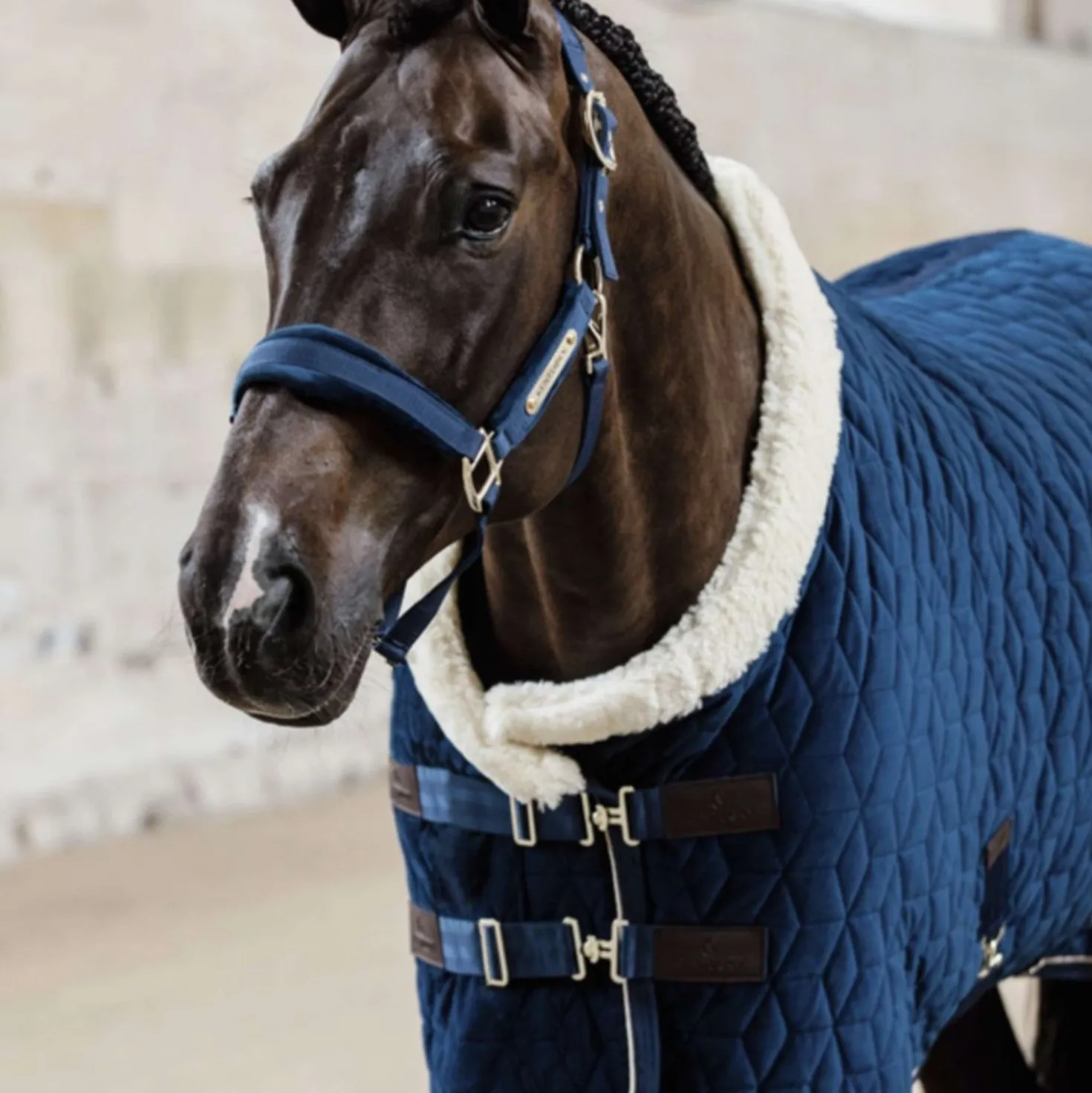 Kentucky Showdeken Velvet 160g Navy
