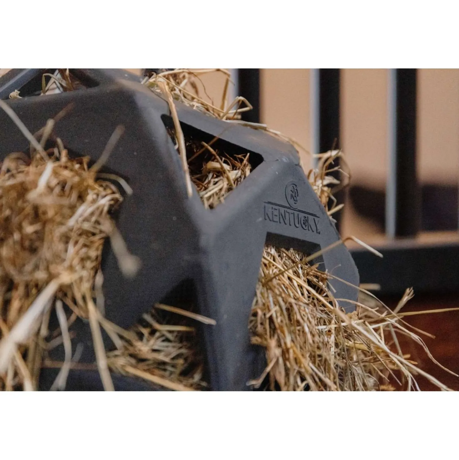 Kentucky Speelbal Play & Hay Grijs