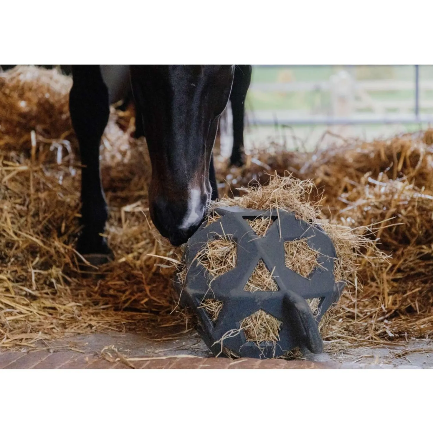 Kentucky Speelbal Play & Hay Grijs