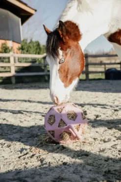 Kentucky Speelbal Play & Hay Oud Roze