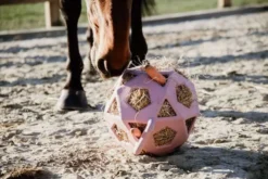 Kentucky Speelbal Play & Hay Oud Roze