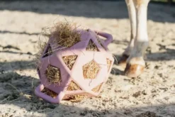 Kentucky Speelbal Play & Hay Oud Roze