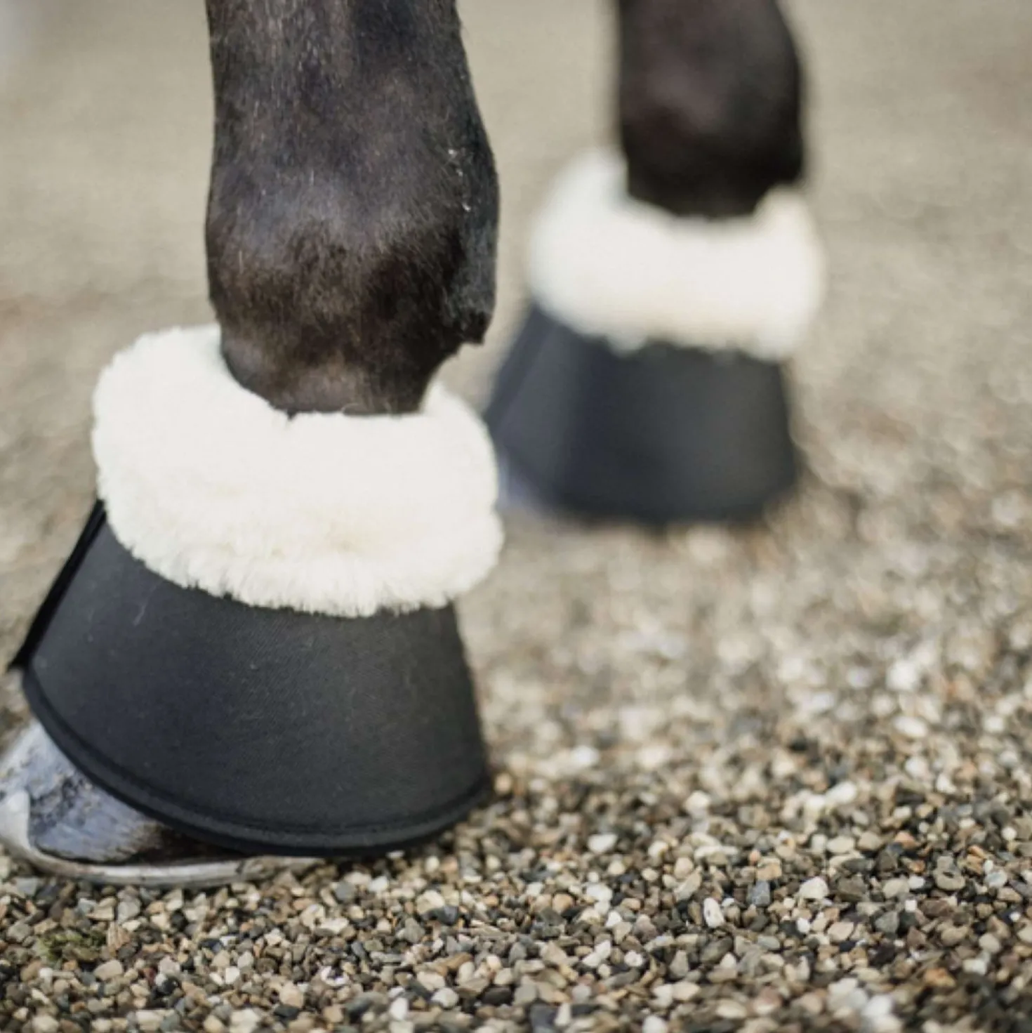 Kentucky Springschoenen Sheepskin Black