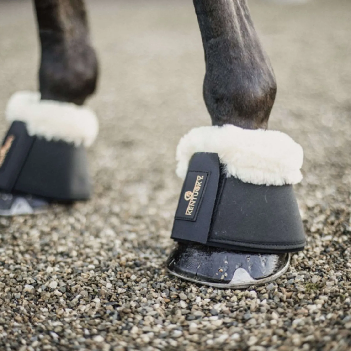 Kentucky Springschoenen Sheepskin Black
