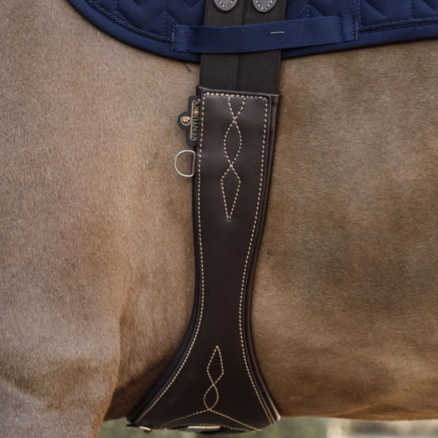 Kentucky Springsingel Anatomic Brown