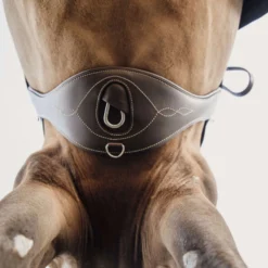Kentucky Springsingel Anatomic Brown