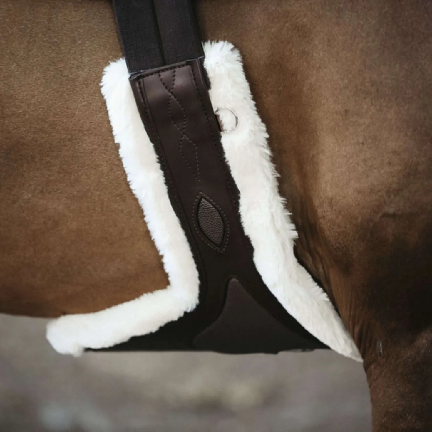 Kentucky Springsingel Sheepskin Special Brown