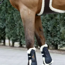 Kentucky Springsingel Sheepskin Stud Brown