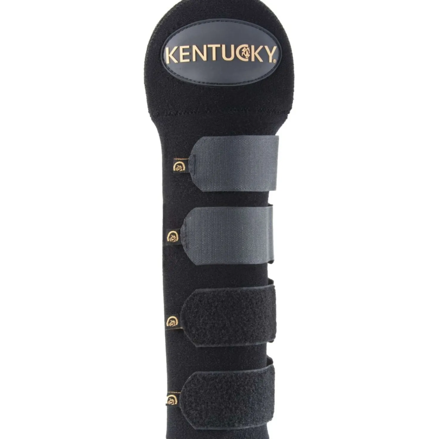Kentucky Staartbeschermer