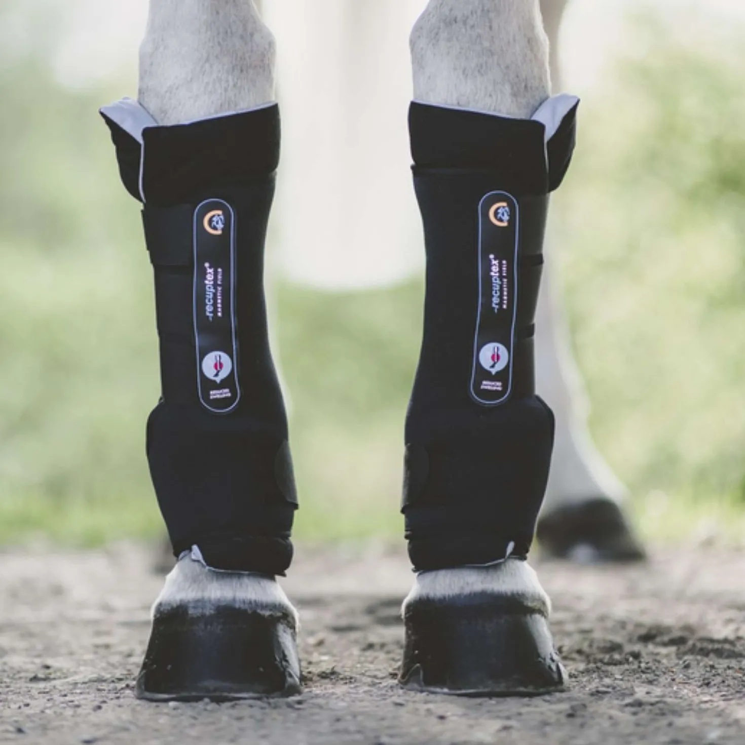 Kentucky Stable Boots Recuptex Magnetic Black