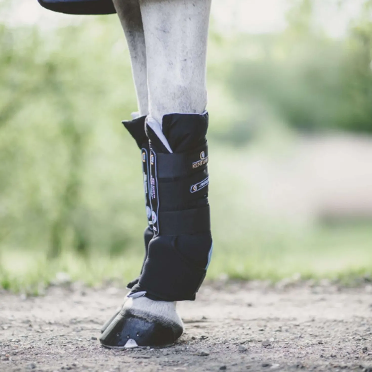Kentucky Stable Boots Recuptex Magnetic Black