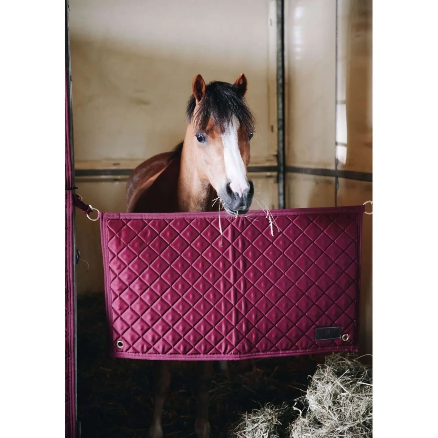 Kentucky Stable Guard Bordeaux