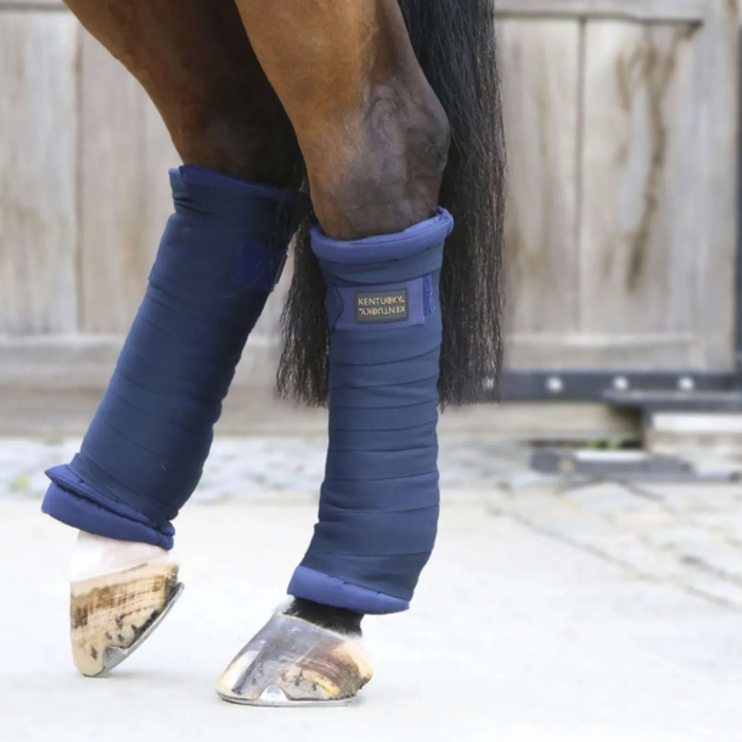 Kentucky Stal Bandage Pad Navy
