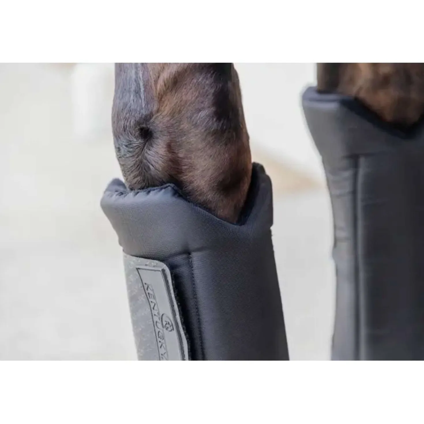 Kentucky Stalbeschermers PROtect Classic Voor Zwart